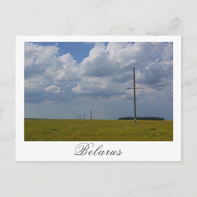 Nature Landscape Scenery Wheat Field Belarus Postcard (Front)