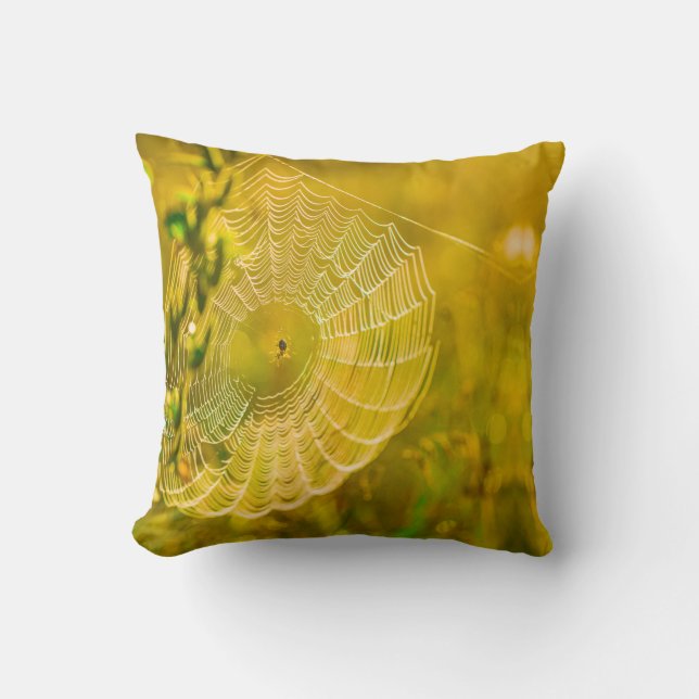 Nature Landscape Spider Spiderweb Sunlight  Throw Pillow (Front)