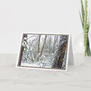 ***Nature: Live each Season: Walden Pond Holiday Card