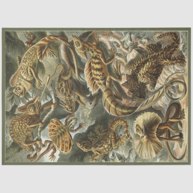 Nature Lizard Ernst Haeckel  Decoupage Tissue Paper (Front)