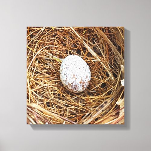 Nature Lovers Cardinal Bird Egg Nest Canvas Print