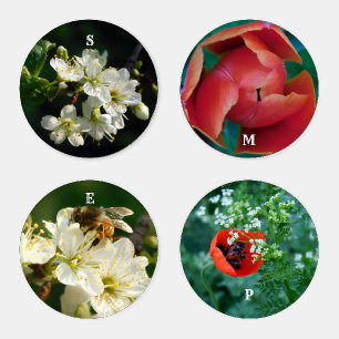 Nature & Macro Flowers: Acrylic Coaster Art Set