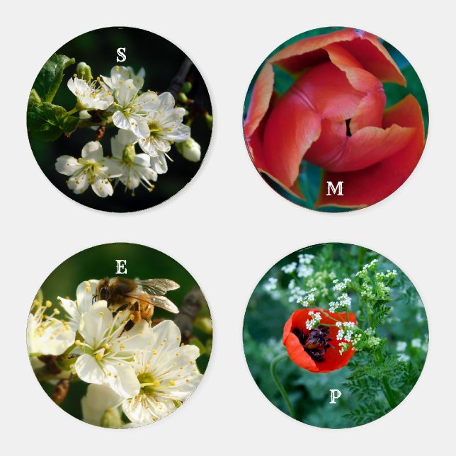 Nature & Macro Flowers: Acrylic Coaster Art Set (Set)
