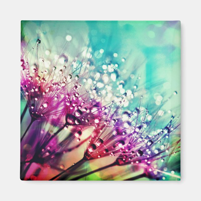 Nature Magnet (Front)