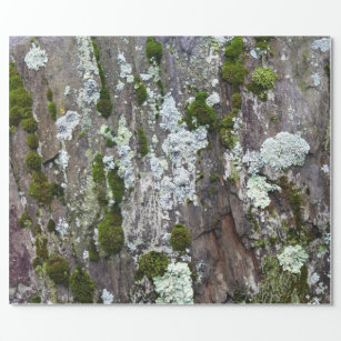Nature Moss Lichen Camouflage Photo Wrapping Paper