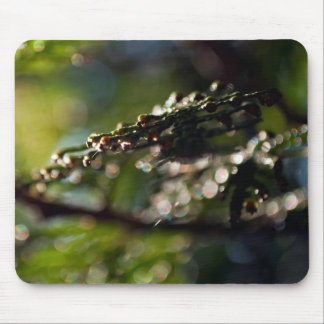 Nature Mouse Pad with maco Cedar branch photograph
