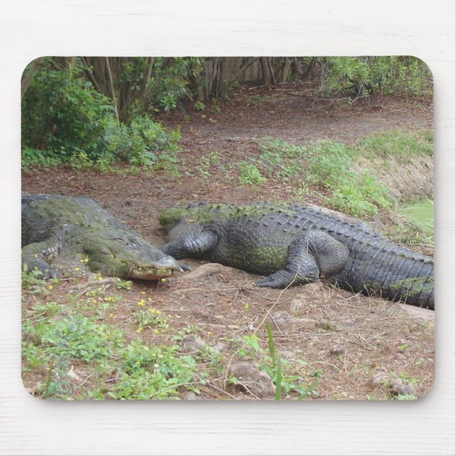 NATURE MOUSEPAD (Front)