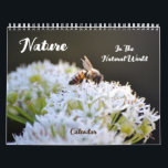 Nature Natural World Calendar<br><div class="desc">This pretty calendar features my original photographs of nature; observations of happenings during hikes and travels. These calendars are high quality and vibrant. You may choose other sizes and other options if desired. This unique calendar would make a great gift for a nature lover in the new year.</div>