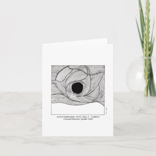 Nature Note Card _ Funnel Weaver Spider Web