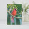 Nature note cards Cardinal Bird cards