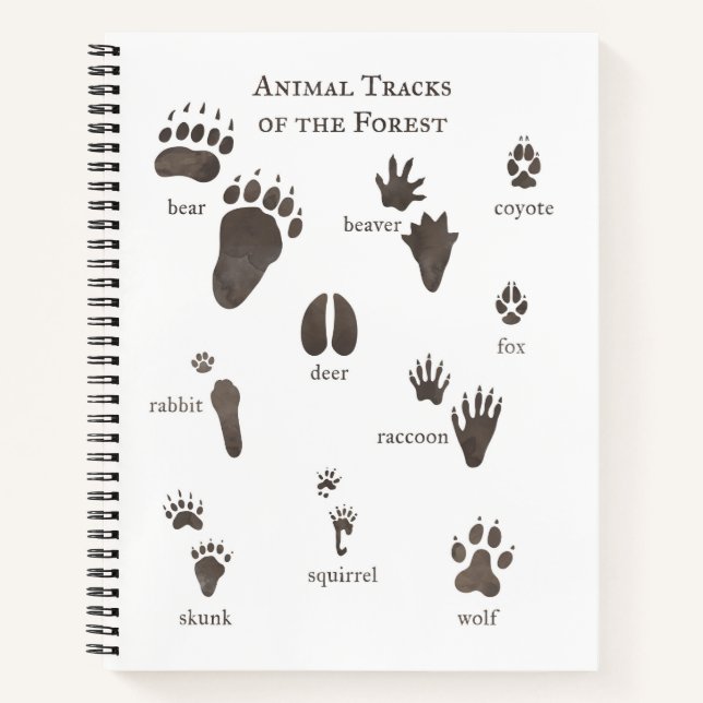 Nature Notebook Animal Tracks of the Forest (Front)