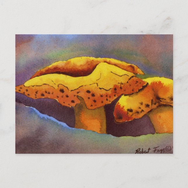 Nature Oddities Postcard (Front)