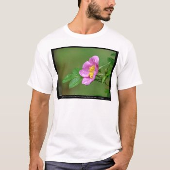 Nature Of Love Wild Rose Spring Storm Beauty T-shirt by leehillerloveadvice at Zazzle