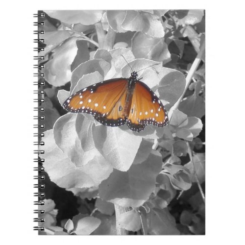 Nature Orange Monarch Butterfly Photo Black White Notebook