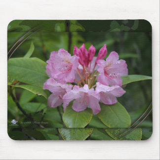 NATURE OREGON MOUSE PAD