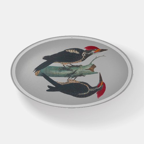 Nature Pair of Wild WoodPeckers Paperweight