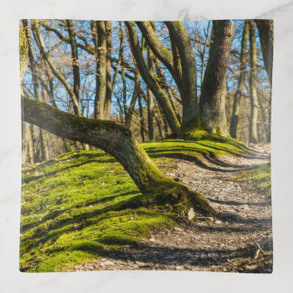 Nature path trinket tray
