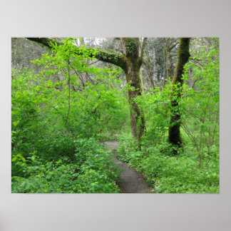 Nature Pathway Poster
