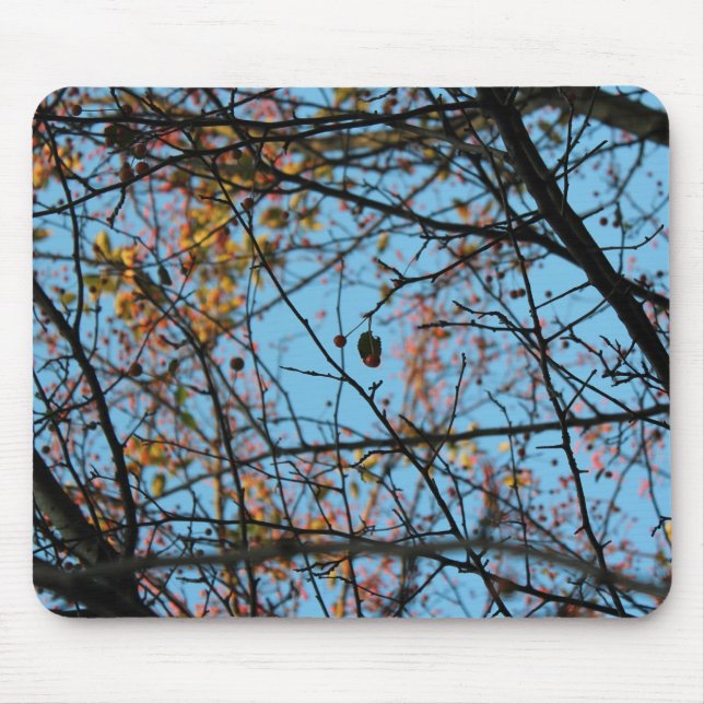 Nature pattern mouse pad (Front)