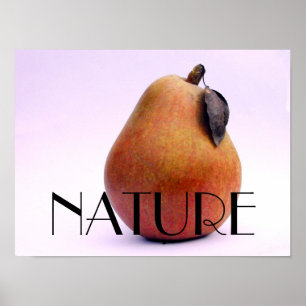 NATURE Pear Poster