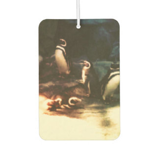 Nature Penguin Photography Art Air Freshener