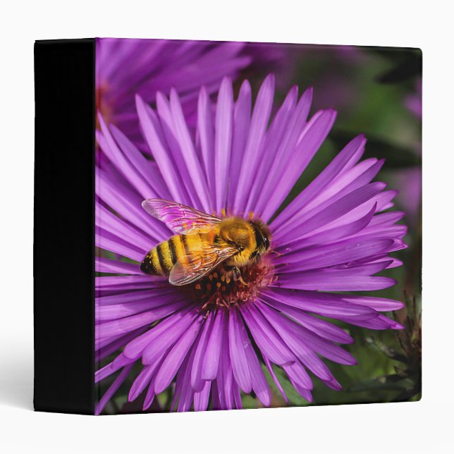 Nature Photo of a Bumble Bee on a Flower 3 Ring Binder (Front/Spine)