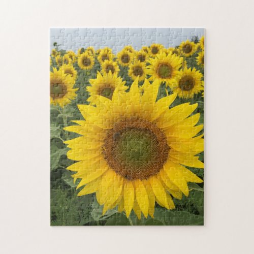 Nature Photo Sunflowers Jigsaw Puzzle