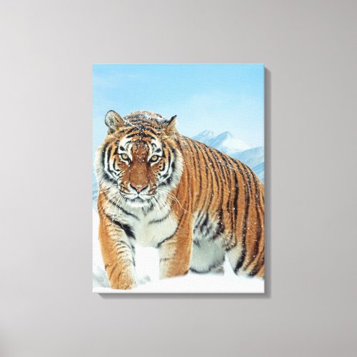 Nature Photo Tiger Winter Snow Mountains Canvas