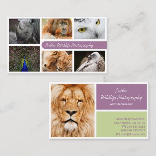 Wildlife Photography Business Card