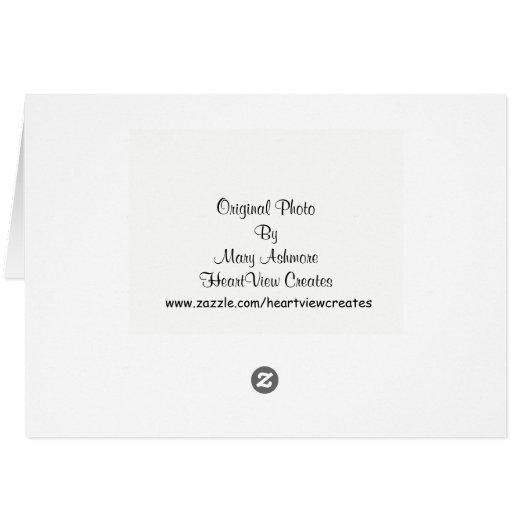 Nature Photography (Back Horizontal)