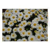 Nature Photography (Front Horizontal)