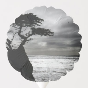 Nature Photography Black and White Balloon