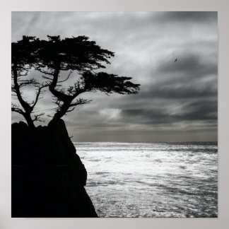 Nature Photography Black and White Poster