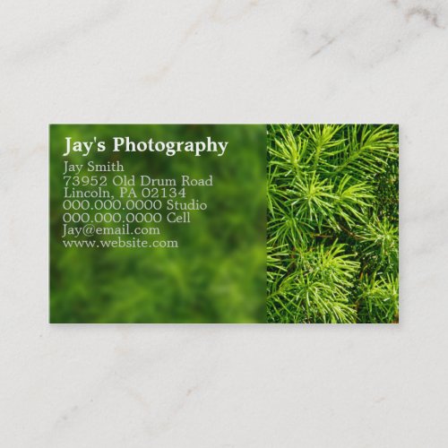Nature Photography Business Cards