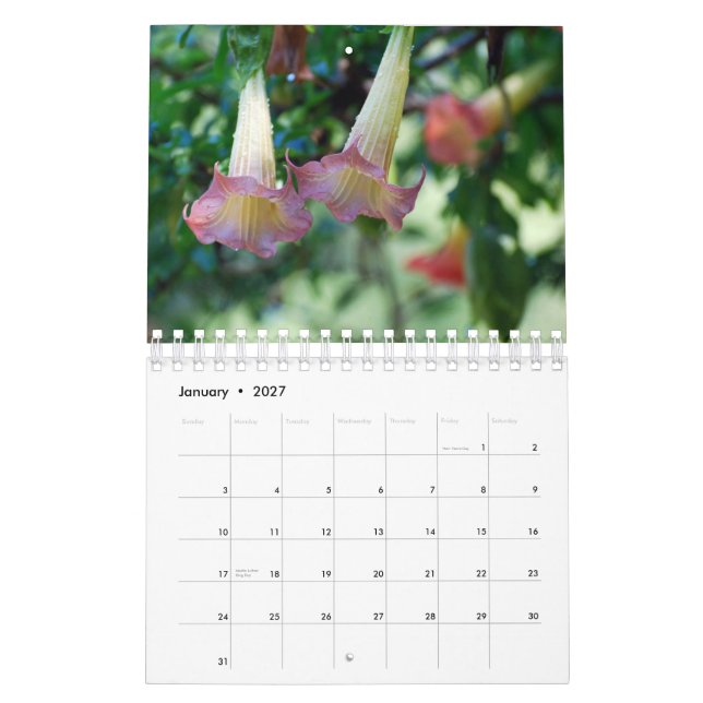Nature Photography Calendar (Jan 2027)