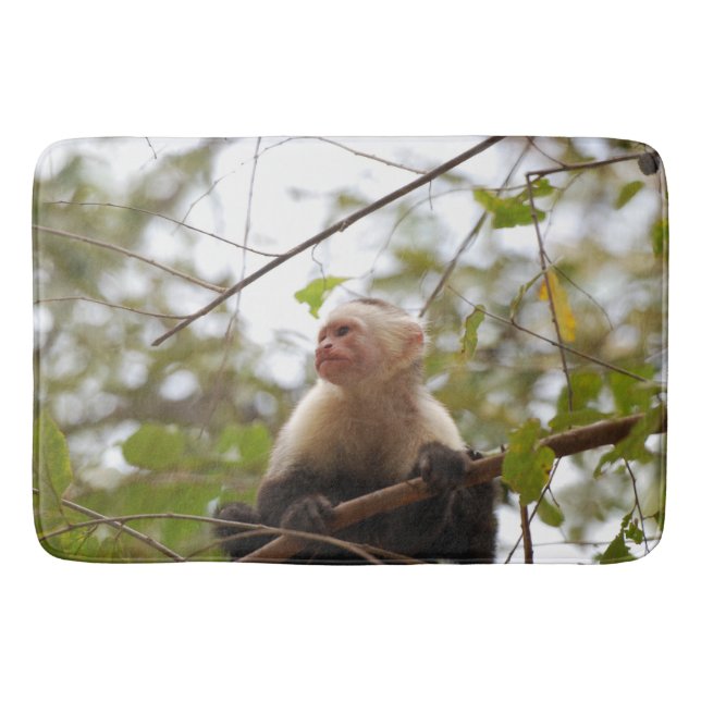 Nature Photography, Capuchin Monkey Bath Mat (Front)