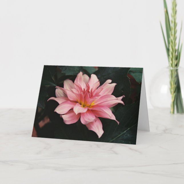 Nature Photography Card (Front)