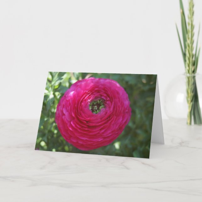 Nature Photography Card (Front)