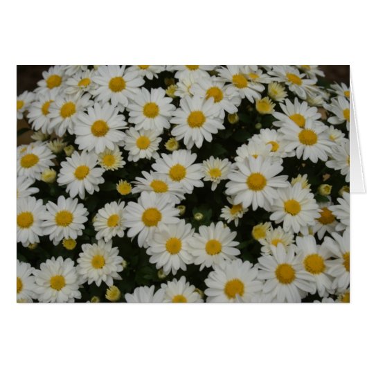 Nature Photography Cards (Front Horizontal)