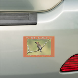 Nature Photography Cedar Waxwing Birder Car Magnet