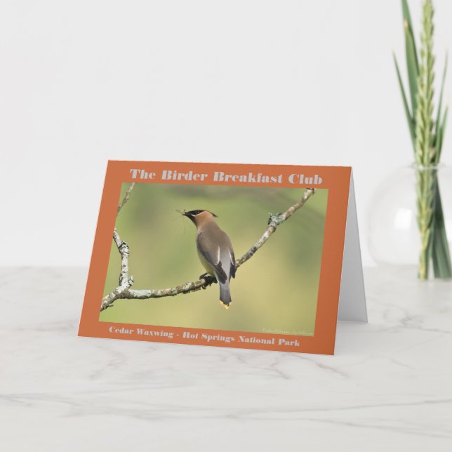 Nature Photography Cedar Waxwing Birder Card (Front)