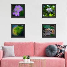 Nature Photography Celebrate Spring Growth