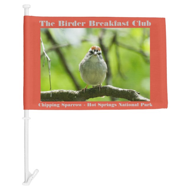 Nature Photography Chipping Sparrow Birder  Car Flag (Front)