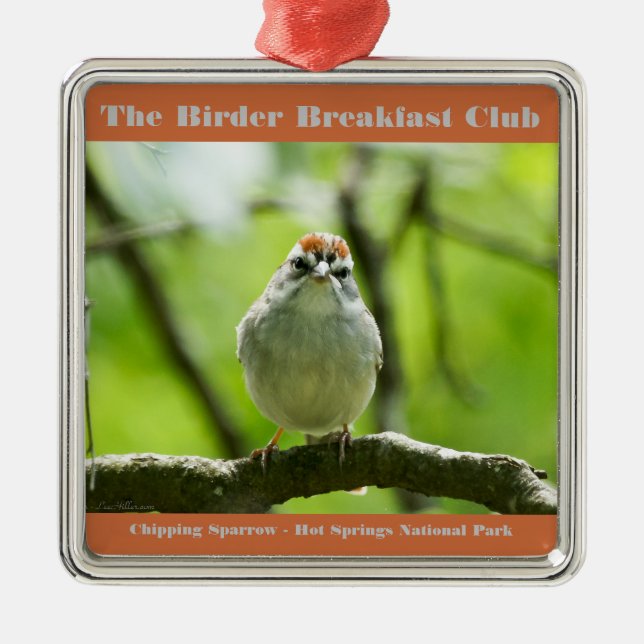 Nature Photography Chipping Sparrow Birder Metal Ornament (Front)
