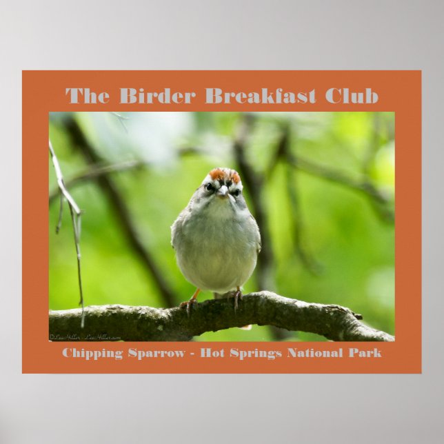 Nature Photography Chipping Sparrow Birder Poster (Front)
