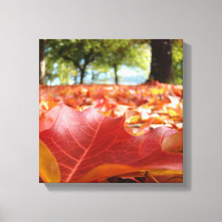 Nature Photography Fall Leaves Art Panels Canvas Print