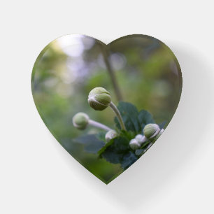 Nature Photography Green Garden Flowers Floral Paperweight