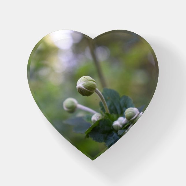 Nature Photography Green Garden Flowers Floral Paperweight (Front)
