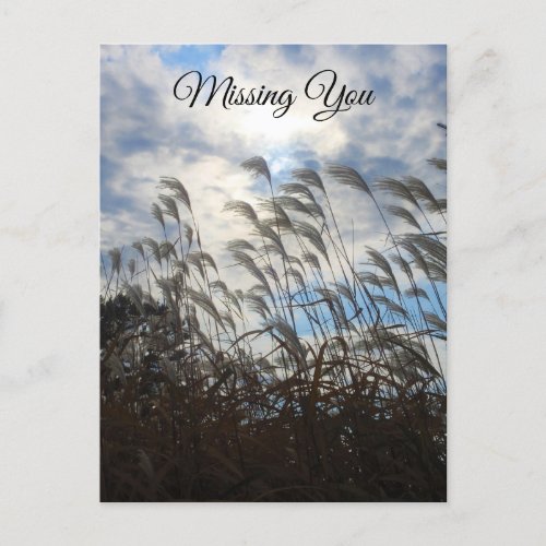 Nature Photography Missing You  Postcard