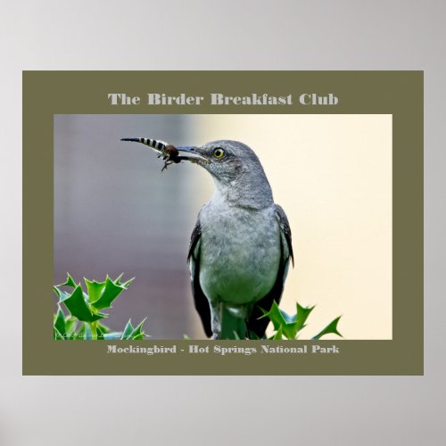 Nature Photography Mockingbird Birder   Poster
